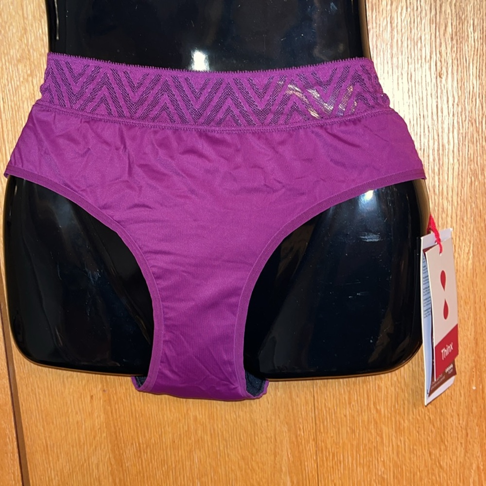 NWT NEW Thinx Classic Hiphugger Period Underwear panty Violet Purple LARGE